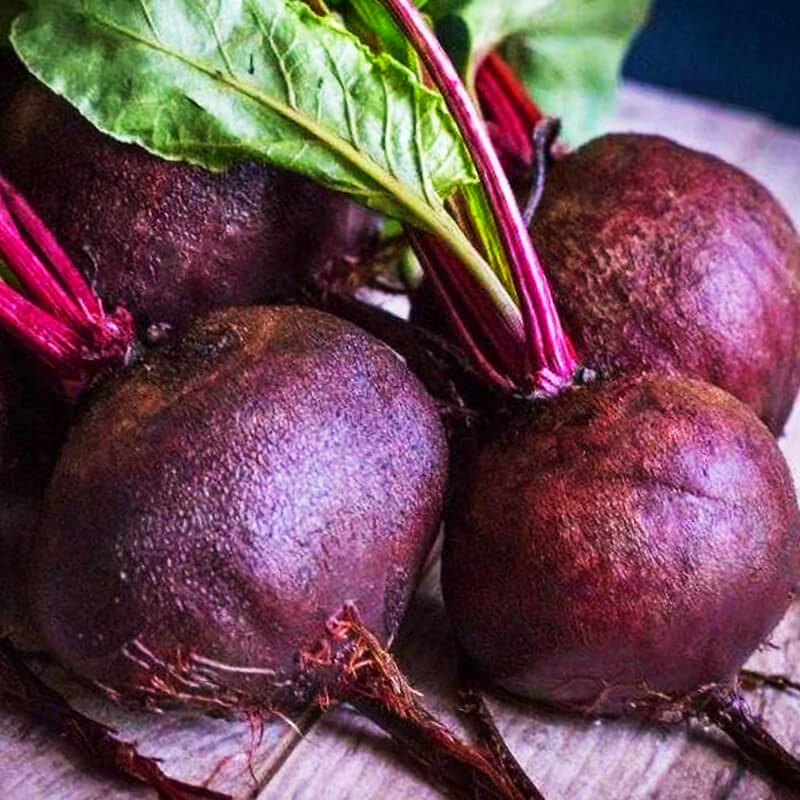 Буряк Бордо