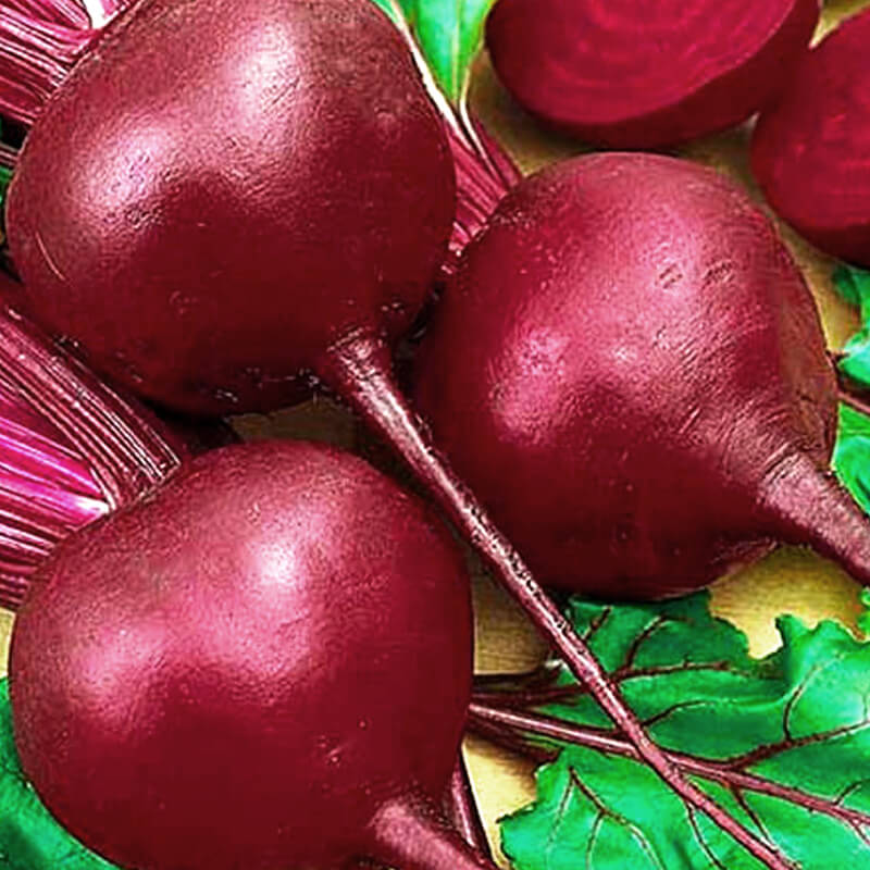 Буряк Червона куля