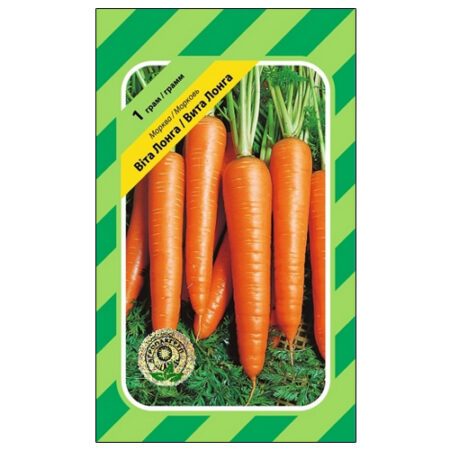 Среднепоздний сорт моркови Вита Лонга.