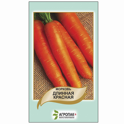 Среднепоздняя морковь сорта  Длинная красная.