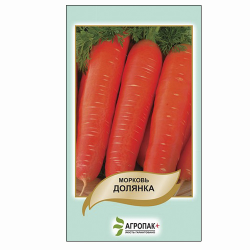 Позднеспелый сорт моркови Долянка.