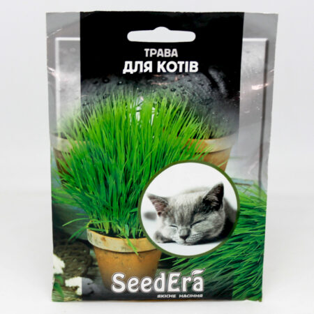 Трава для котов