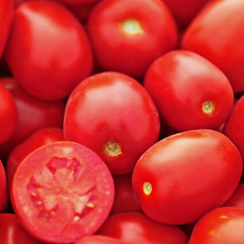 Томат П'єтра Росса F1 детермінантний, Clause