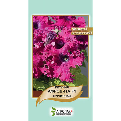 Петунія бахромчата Афродіта F1 пурпурова великоквіткова