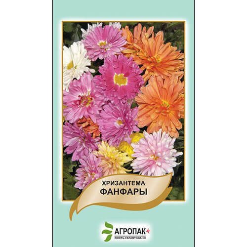 Хризантема индийская Фанфары, смесь - 0,1 г