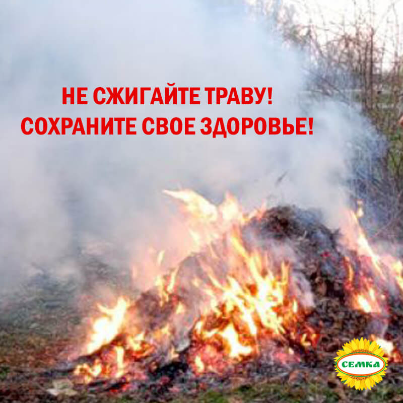 Не сжигайте траву! Сохраните свое здоровье!