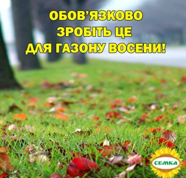 Обов'язково зробіть це для газону восени!