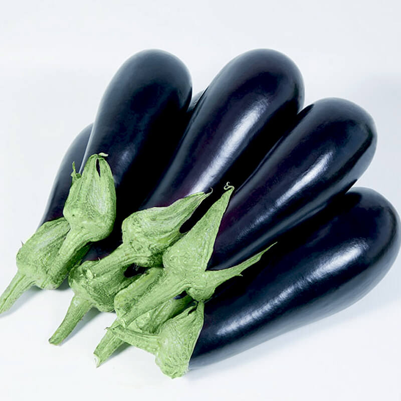Баклажан KS 1258 F1, Kitano Seeds
