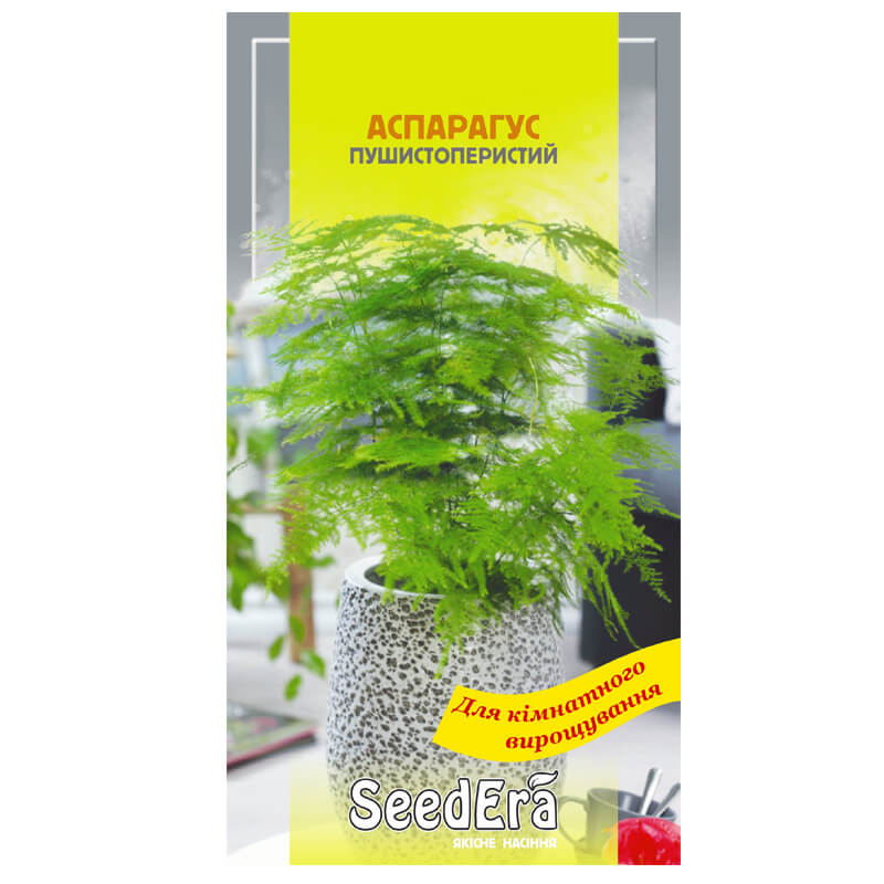 АСПАРАГУС ПУШИСТОПЕРИСТИЙ SeedEra