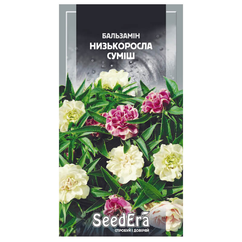 БАЛЬЗАМІН Низькоросла Суміш, SeedEra