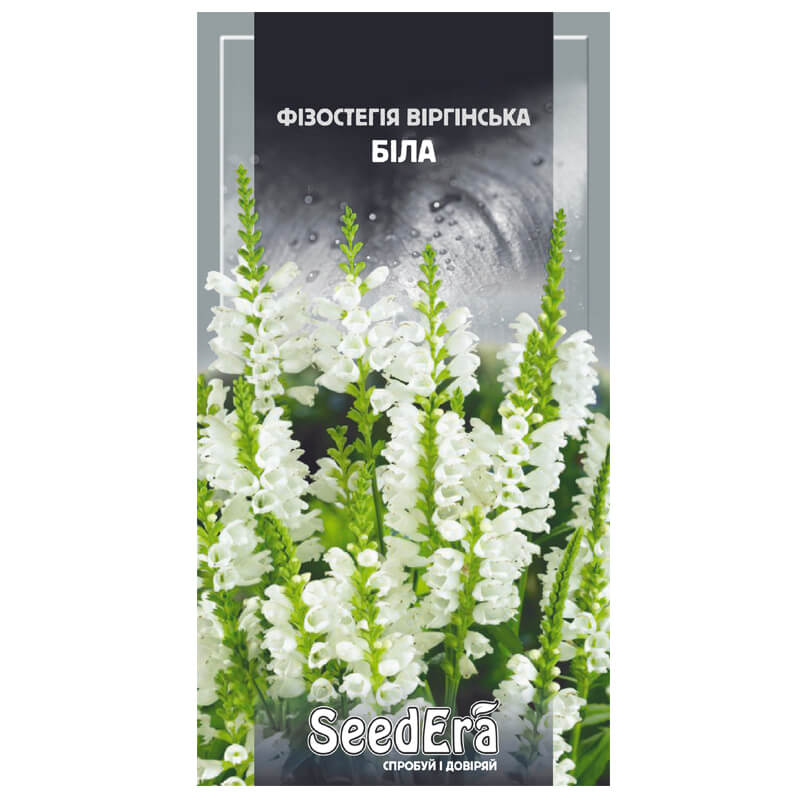 ФІЗОСТЕГІЯ Віргінська Біла