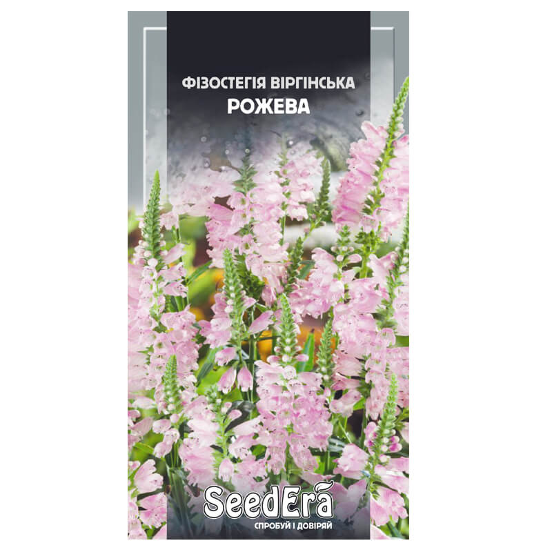 ФІЗОСТЕГІЯ Віргінська Рожева