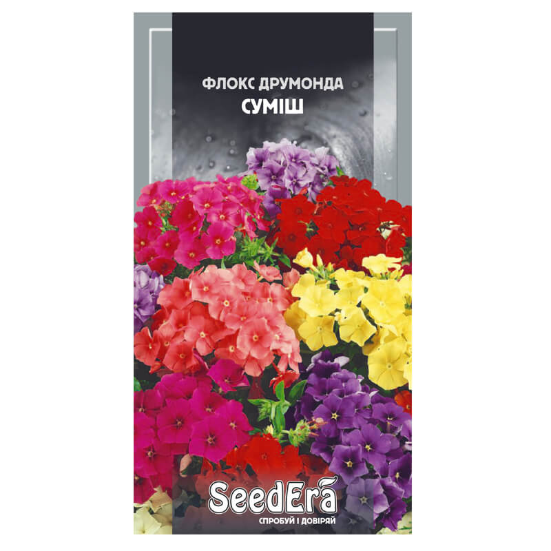 Флокс ДРУМОНДА Суміш, SeedEra