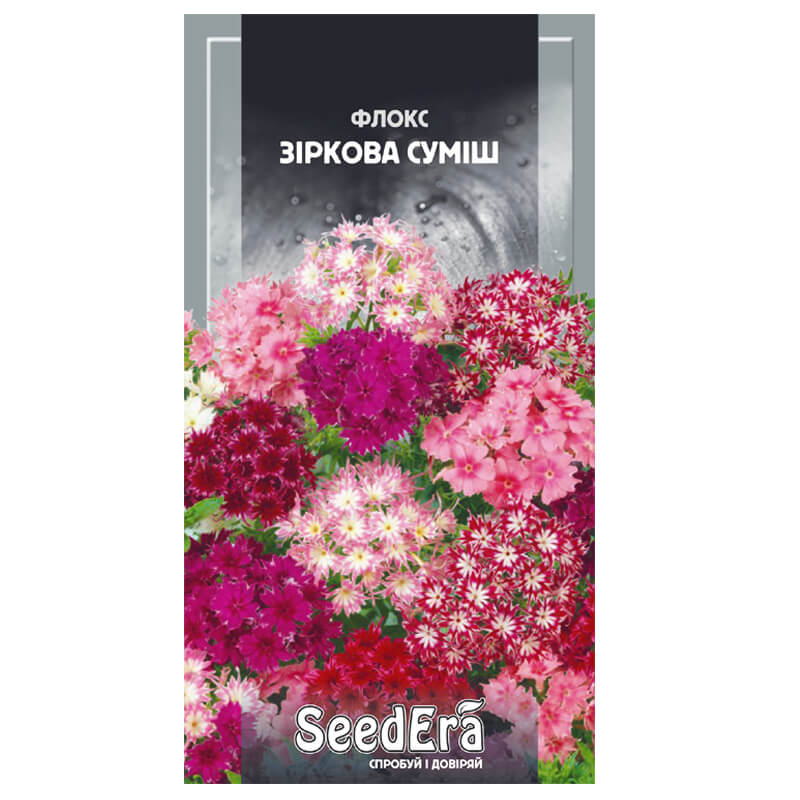 Флокс ЗІРКОВА СУМІШ, SeedEra
