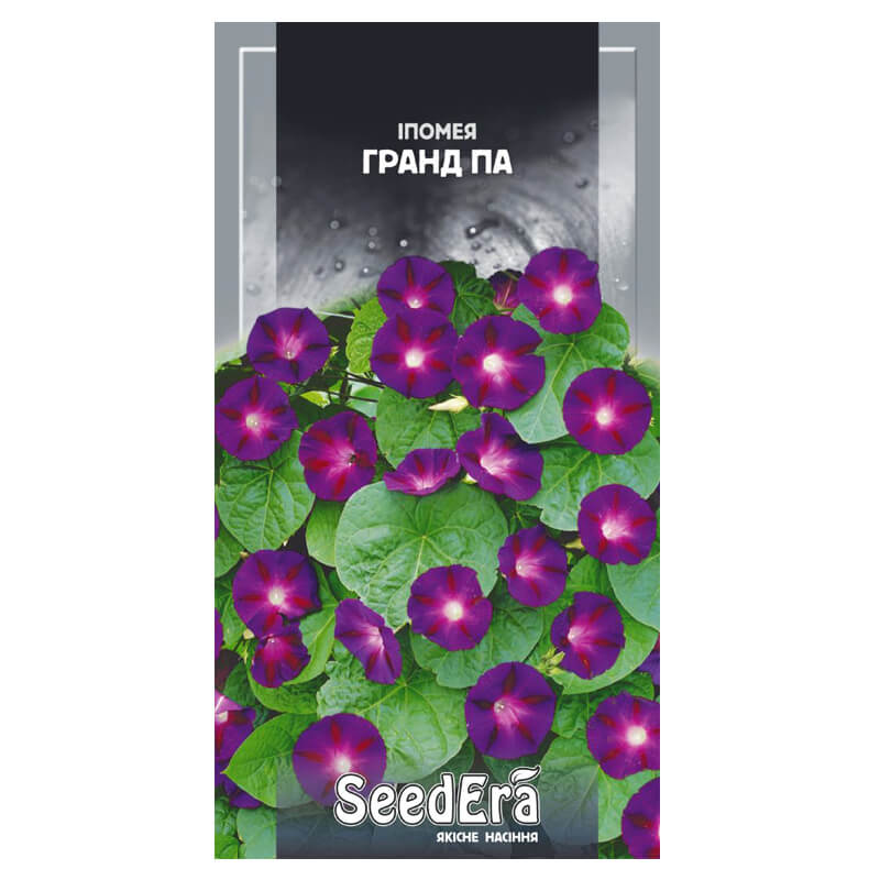 Іпомея ГРАНД ПА Фіолетова, SeedEra