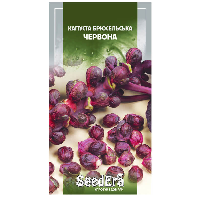 КАПУСТА БРЮСЕЛЬСЬКА Червона