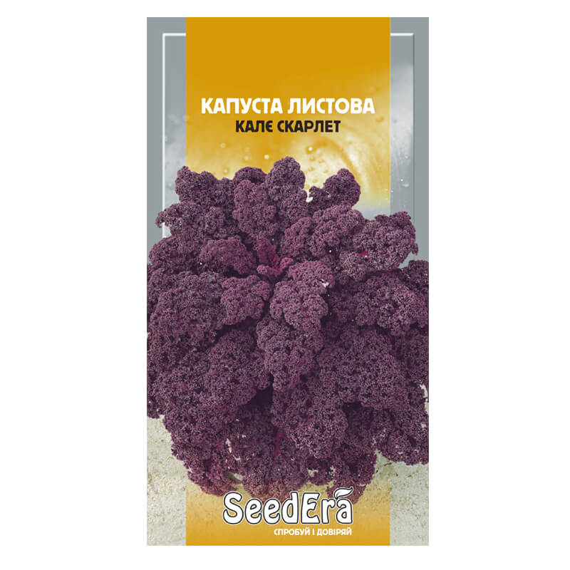 Капуста листова КАЛЄ СКАРЛЕТ