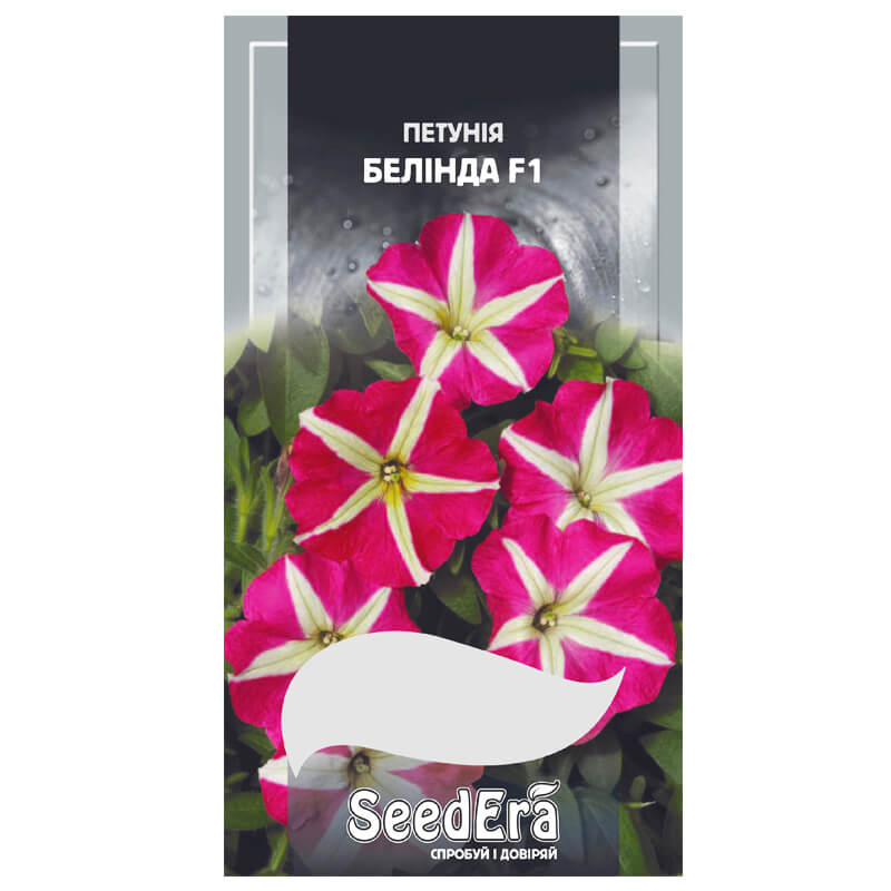 Петунія БЕЛІНДА F1, багатоквіткова