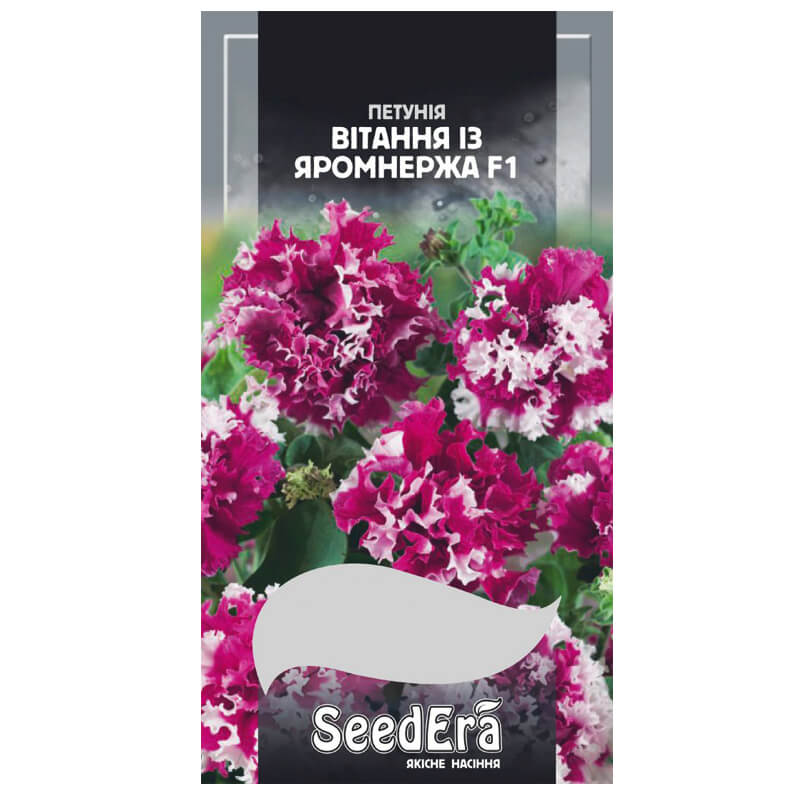 Петунія ВІТАННЯ ІЗ ЯРОМНЕРЖА F1