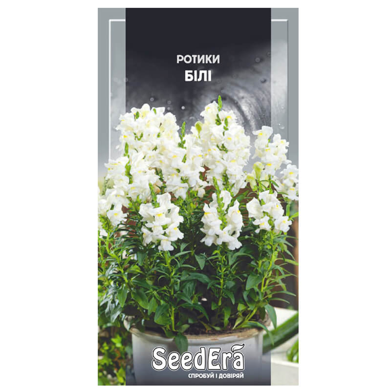 РОТИКИ Білі (Антірріум), SeedEra