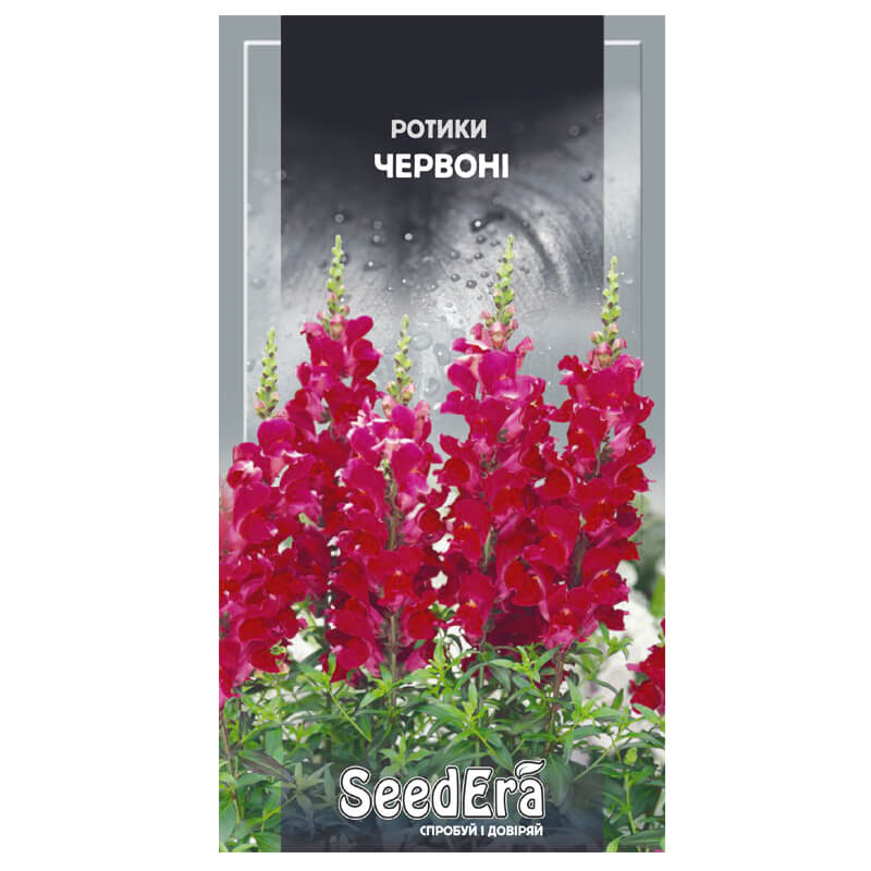 РОТИКИ Червоні (Антірріум), SeedEra