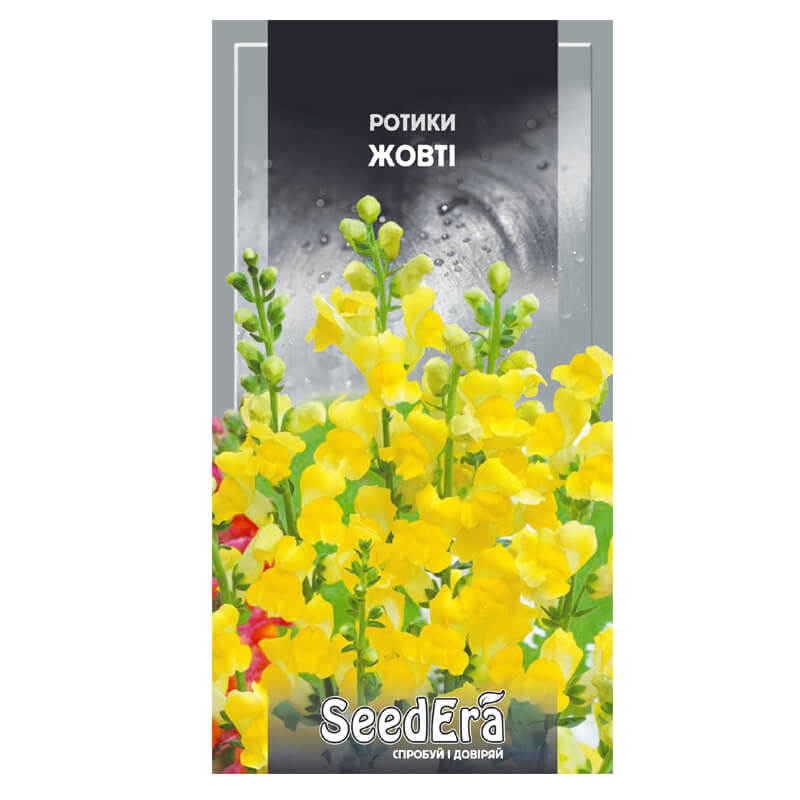 РОТИКИ Жовті (Антірріум), SeedEra