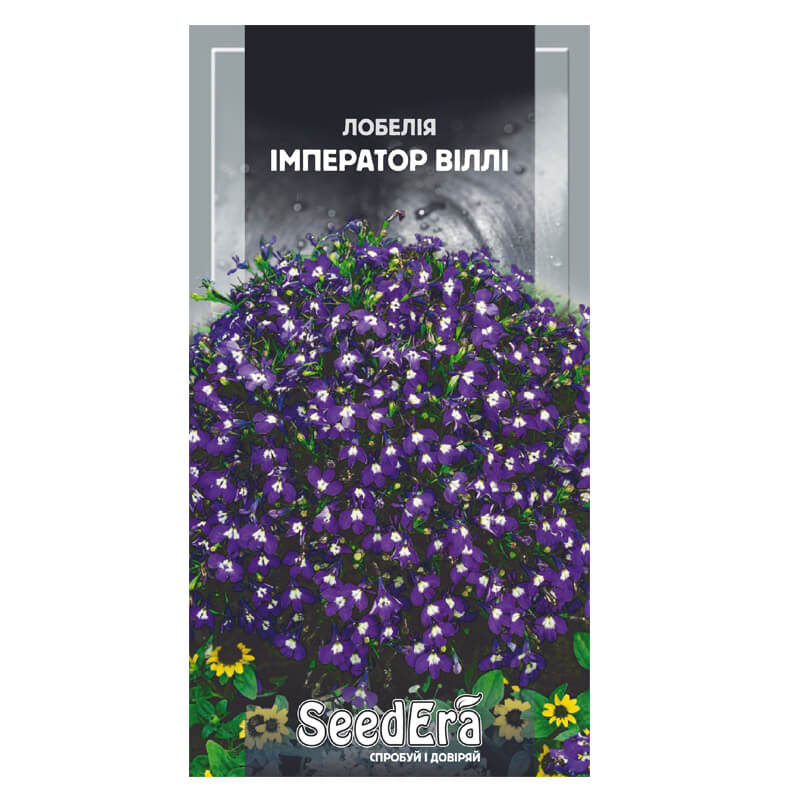 Лобелія ІМПЕРАТОР ВІЛЛІ, SeedEra