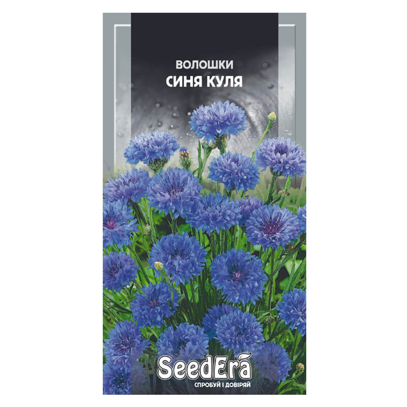 Волошки Польові СИНЯ КУЛЯ, SeedEra